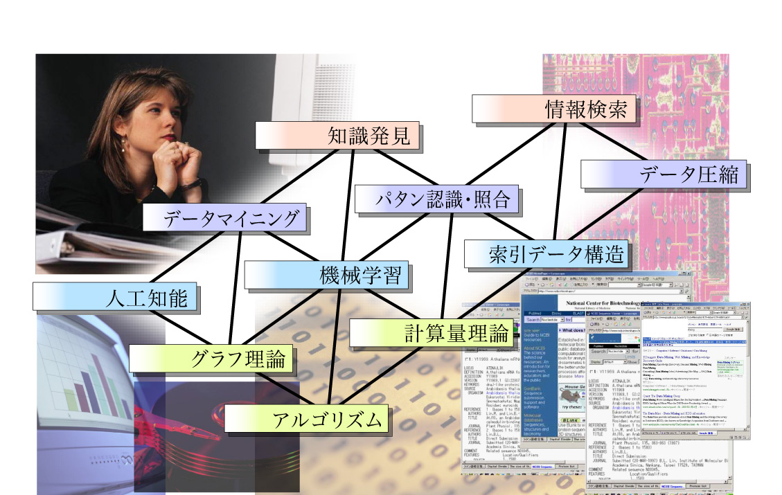 膨大なデータから知識を発見する